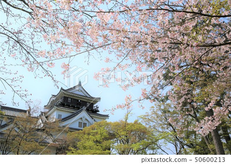 岡崎城 50600213