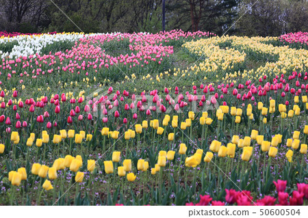 Churip 8474 50600504