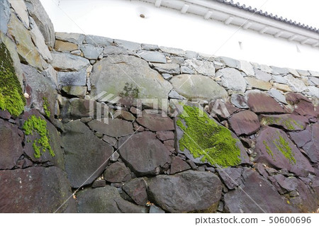 Kofu Castle Kofu Castle 50600696