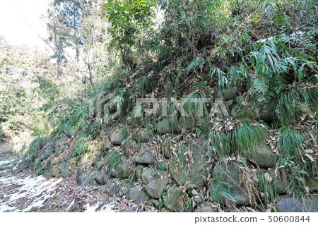 Minowa城堡 50600844