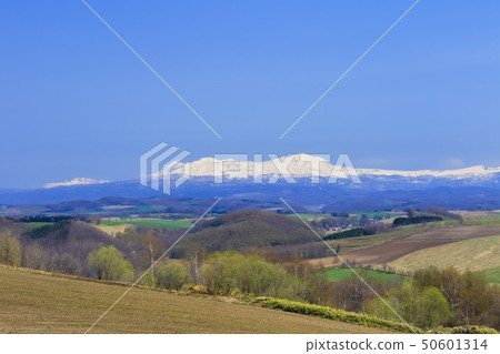 北海道Biei Asahidake和藍天 50601314