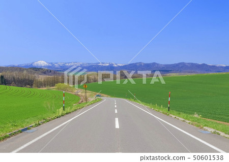 北海道美瑛通往藍天的道路 北海道美瑛通往藍天的道路 50601538