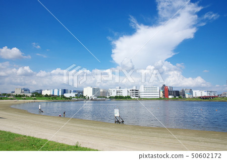 Omori Hometown Beach Park (Ota Ward, Tokyo) 50602172
