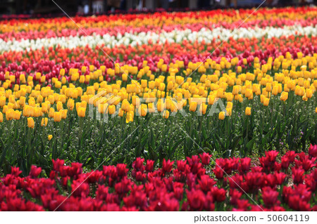 Computer 8424 50604119