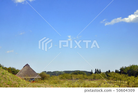 Old private house thatched roof Old private house thatched roof 50604309