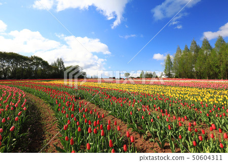 Computer 8100 50604311