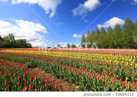 Computer 8101 50604313