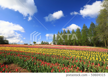 計算機8107 50604315