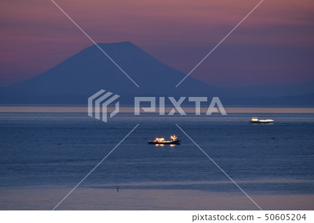 Taking a picture of the fishing fire and Mt. Yotei (Sasafuji) where scallop fishing boats operate off Hokkaido Yakumo-cho, Japan at dawn 50605204
