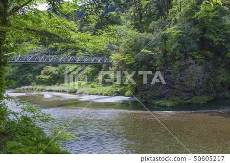享有山谷的春天景色 享有山谷的春天景色 50605217