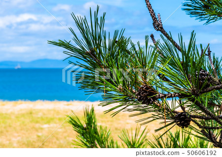 Keino Matsubara 50606192