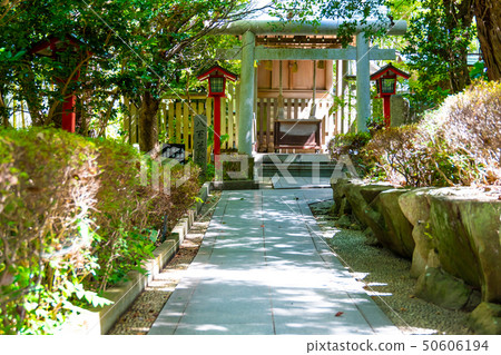 Shrine Shrine Shrine 50606194