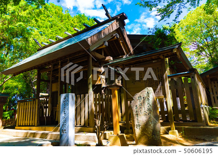 Shrine Shrine Shrine 50606195