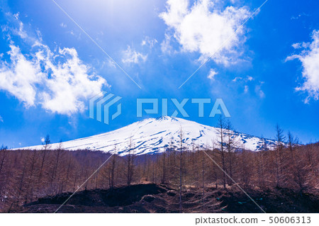 (Shizuoka Prefecture) Mt. Fuji, the summit from the 5th stop (Shizuoka Prefecture) Mt. Fuji, the summit from the 5th stop 50606313