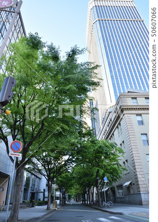 鮮綠色 鮮綠色 50607066