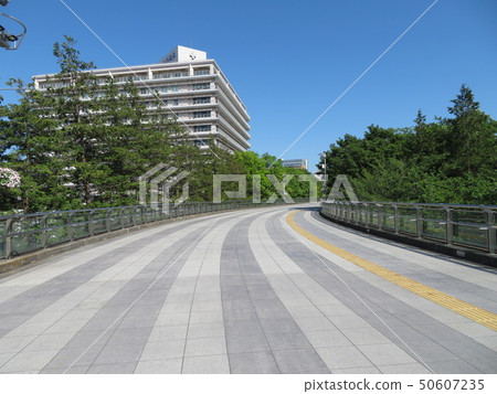 橫濱羅塞醫院 橫濱羅塞醫院 50607235