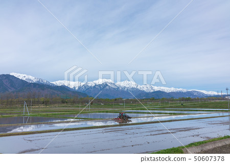 北阿爾卑斯山和被淹沒的稻田大町市 北阿爾卑斯山和被淹沒的稻田大町市 50607378