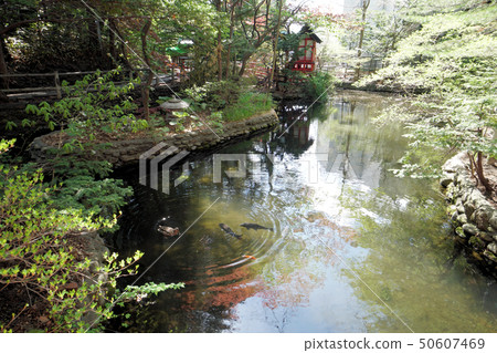 Sapporo Shiroishi Shrine Shiroishi Benten Shrine and Reizumi Pond (provisional name) Sapporo Shiroishi Shrine Shiroishi Benten Shrine and Reizumi Pond (provisional name) 50607469