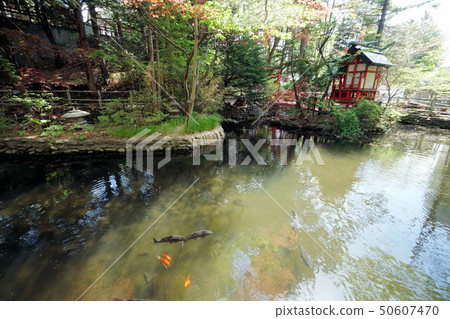 札幌白石神社白石本禪神社和Reizumi Pond(臨時名稱) 札幌白石神社白石本禪神社和Reizumi Pond(臨時名稱) 50607470