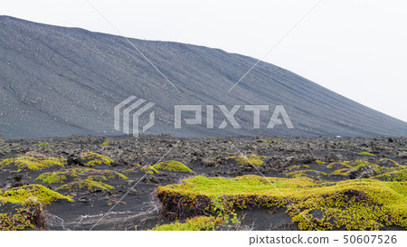 Iceland landscape near Hverfell volcano, Iceland 50607526