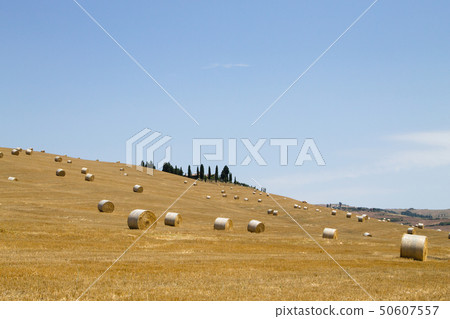 Italian countryside panorama. Round bales on wheat 50607557