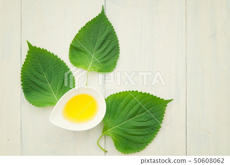 紫蘇油 紫蘇油 50608062