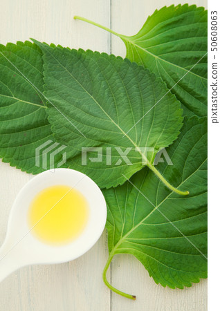 紫蘇油 紫蘇油 50608063