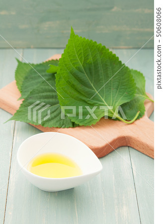 Perilla oil 50608066