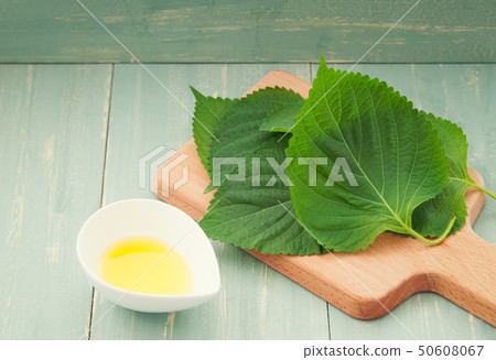 紫蘇油 紫蘇油 50608067