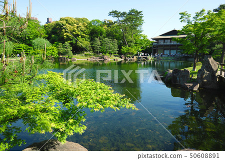 愛知縣名古屋市德川市 50608891