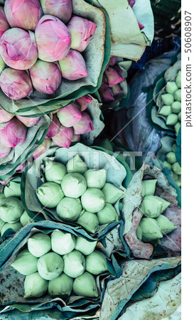 Bouquet of lotus flowers background 50608907
