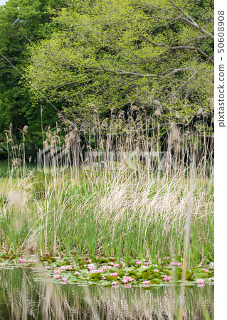 Minami Nature Park Minami Nature Park 50608908