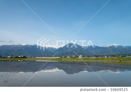 North Alps and flooded paddy fields Kita Azumi-gun Ikeda-cho North Alps and flooded paddy fields Kita Azumi-gun Ikeda-cho 50609525