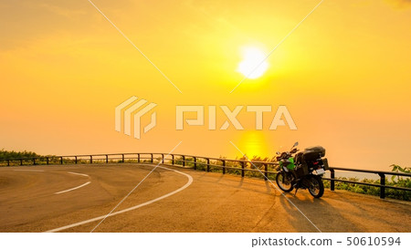 Bird sea blue line at dusk 50610594