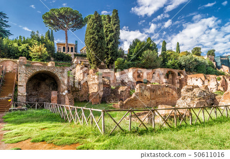 Roman Forum ruins in summer, Rome, Italy 50611016