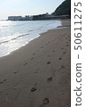 海灘的腳印 50611275