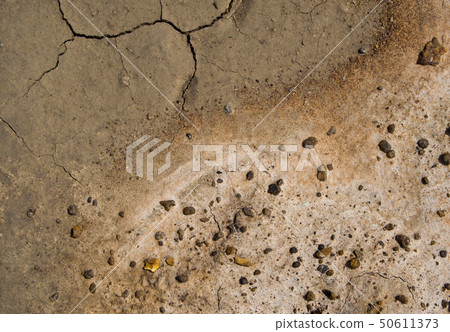 Cracked and separated of moist clay Cracked and separated of moist clay 50611373