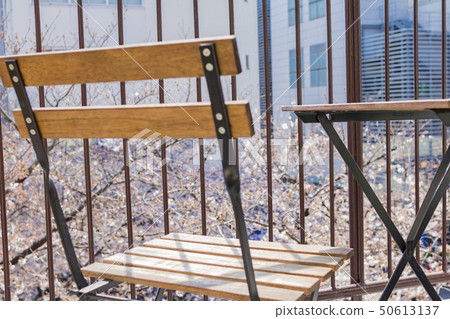 Veranda with a view of cherry blossoms 50613137