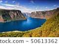 Beautiful summertime sunny panorama of Aurlandsfjord, Norway 50613362
