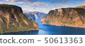 Beautiful summertime sunny panorama of Aurlandsfjord, Norway 50613363