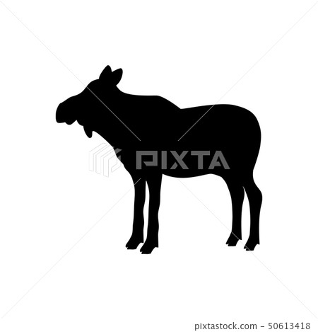 Elk moose cow mammal black silhouette animal Elk moose cow mammal black silhouette animal 50613418