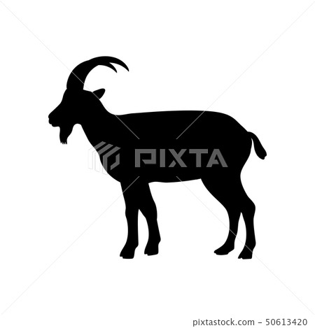 Billy goat mammal black silhouette animal Billy goat mammal black silhouette animal 50613420