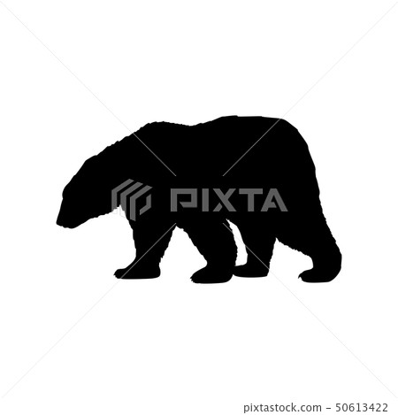 Brown bear wild black silhouette animal 50613422