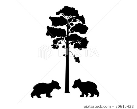 Two cub bears near tree silhouette animal Two cub bears near tree silhouette animal 50613428