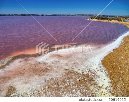 Laguna Salada in Torrevieja, Spain. Pink Salted lake. Salinas Natural Park. 50614935