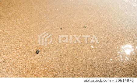 Macro image of wet sand and stones on sea beach. Bright sun reflecting in sea waves 50614976