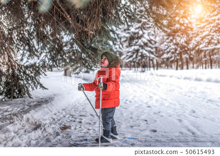 Little boy of 3 years old, winter city backdrop snow green firs, rides children skis. Concept first Little boy of 3 years old, winter city backdrop snow green firs, rides children skis. Concept first 50615493