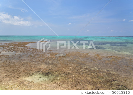 Landscape of Miyakojima / Irabujima swan coast Landscape of Miyakojima / Irabujima swan coast 50615510