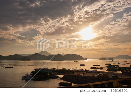 日落，巨濟，慶南 50616291