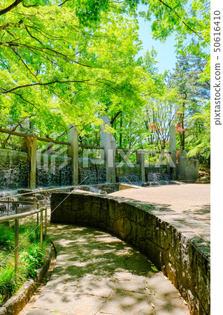 Silkamori no Mori Park Silkamori no Mori Park 50616410